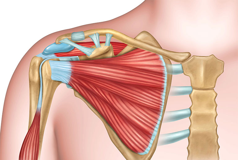 Các vấn đề thường gặp ở bả vai