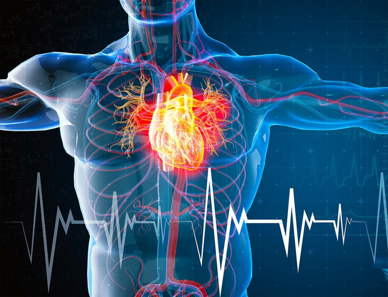 Quan hệ tình dục mang lại nhiều lợi ích