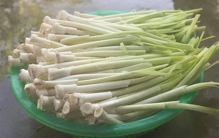 Món ăn từ bồn bồn