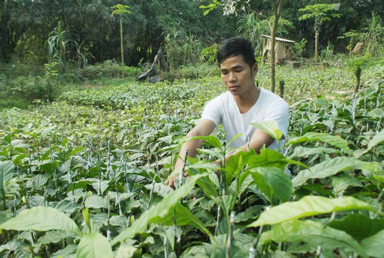 Rượu hạt giổi