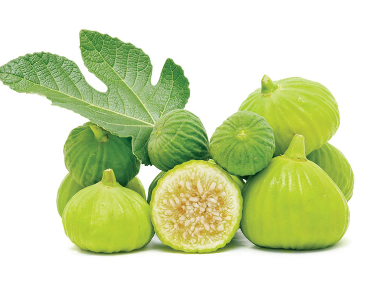 Công dụng của quả vả