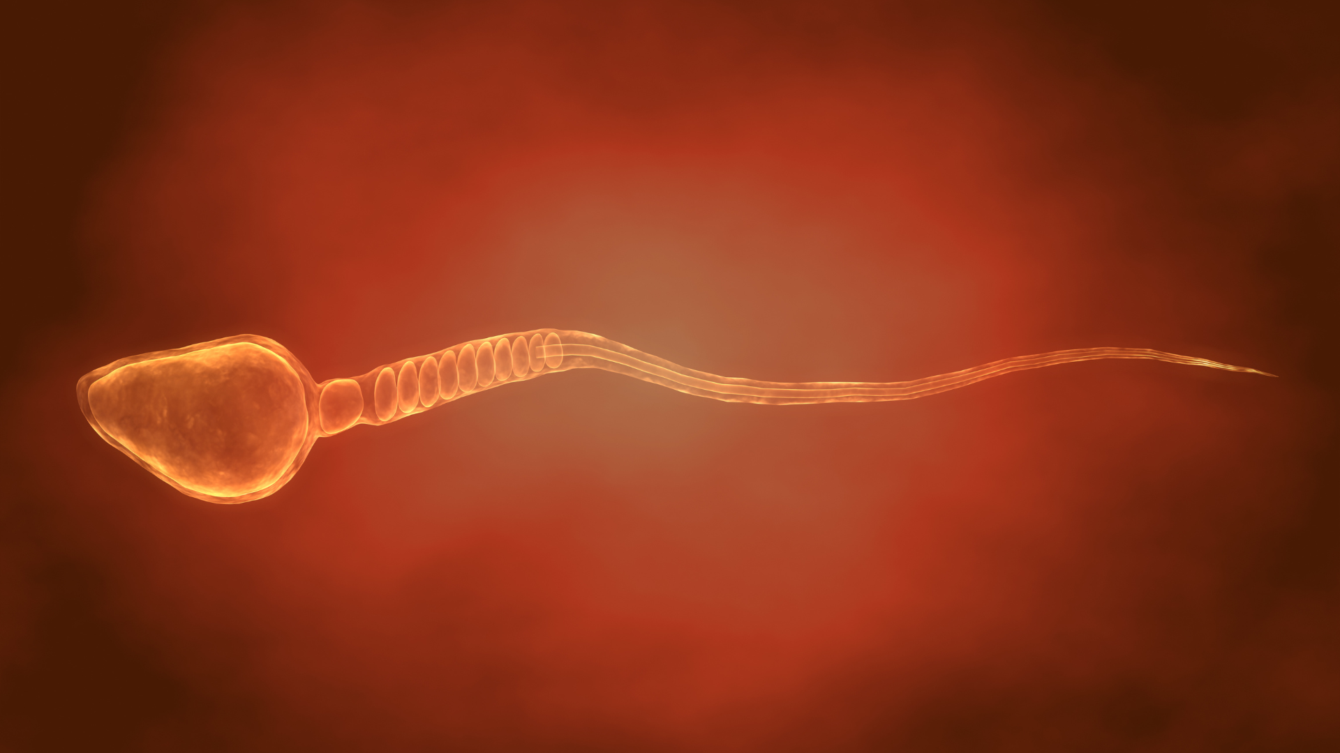 Cẩn trọng khi quan hệ bằng miệng