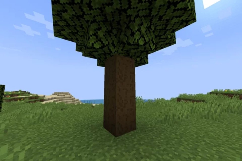 Vẻ đẹp sang trọng của gỗ sồi sẫm màu trong các công trình