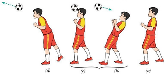 GDTC 10 Bài 2: Kĩ thuật tại chỗ đánh đầu bằng trán giữa