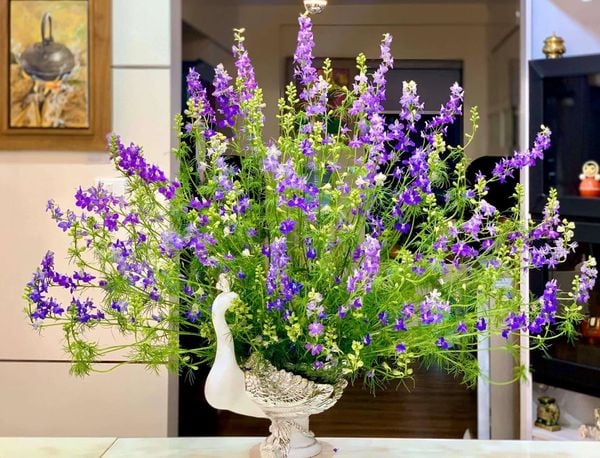 Cách cắm hoa Violet đẹp trang trí nhà cửa